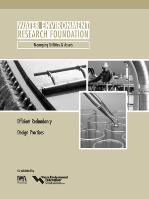 cover image of Efficient Redundancy Design Practices